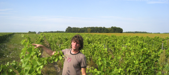 Ludovic berättar om terroiren i Montlouis.